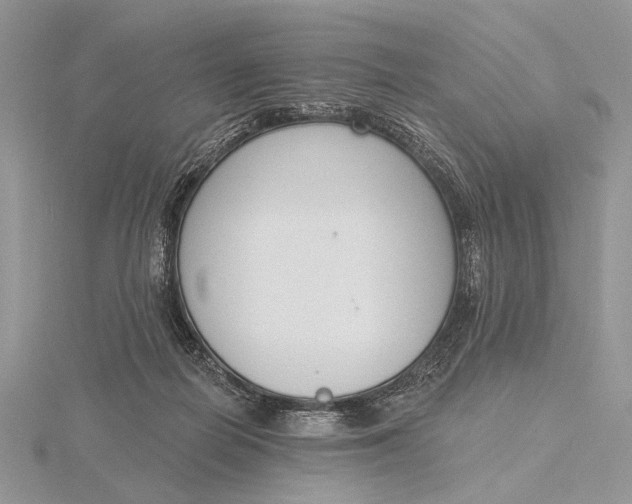 X0000116150266200912071310