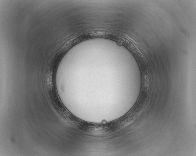 X0000116150267200912071310