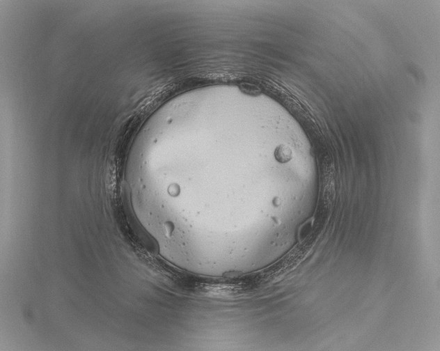 X0000116150268200912071310