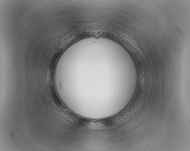 X0000116150270200912071310