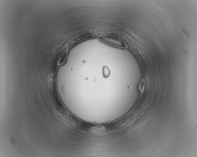 X0000116150271200912071310