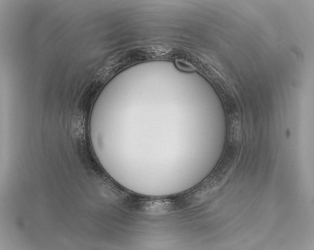 X0000116150274200912071310