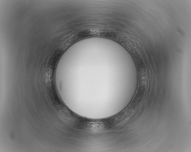 X0000116150275200912071310