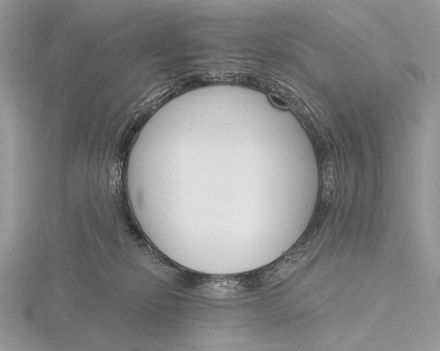 X0000116150278200912071310