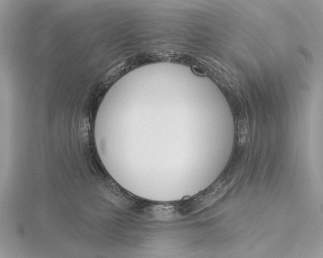 X0000116150279200912071310