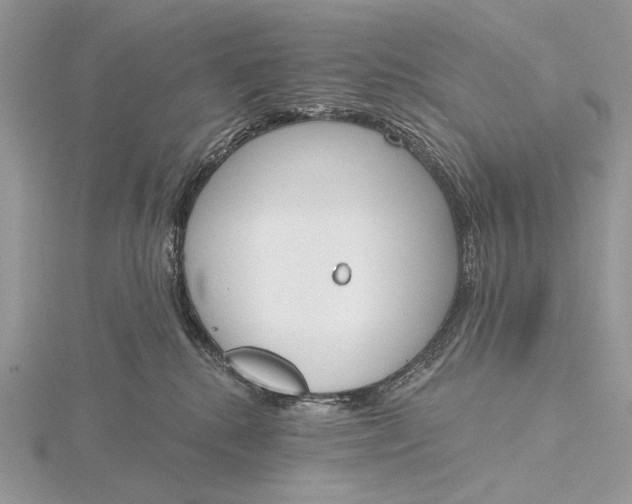 X0000116150280200912071310