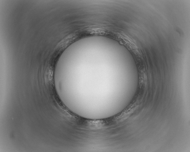 X0000116150281200912071310