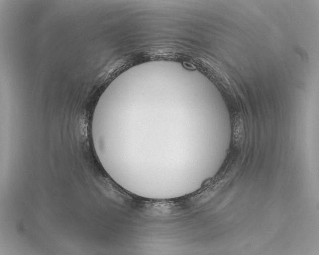 X0000116150282200912071310