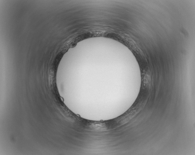 X0000116150283200912071310