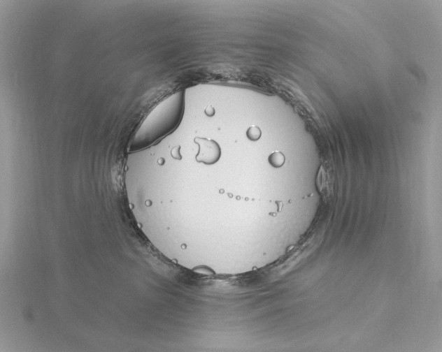 X0000116150285200912071310