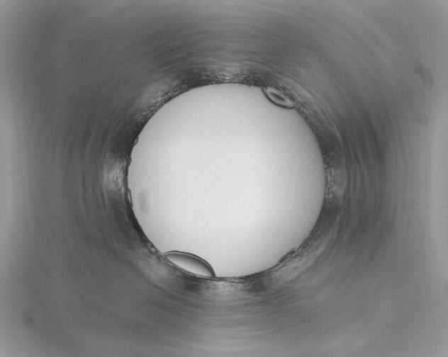 X0000116150286200912071310