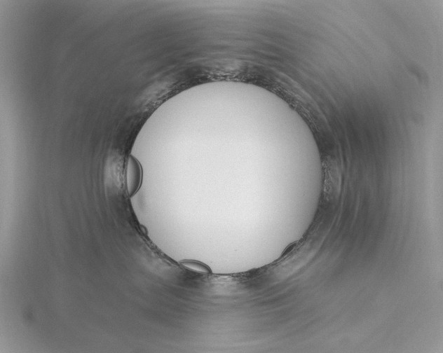 X0000116150287200912071310