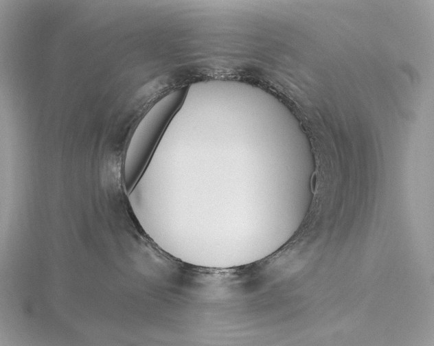 X0000116150288200912071310