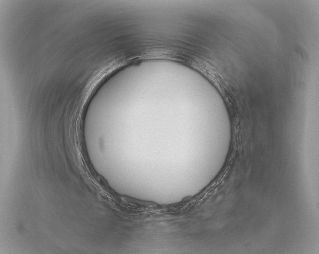 X0000116150289200912071310