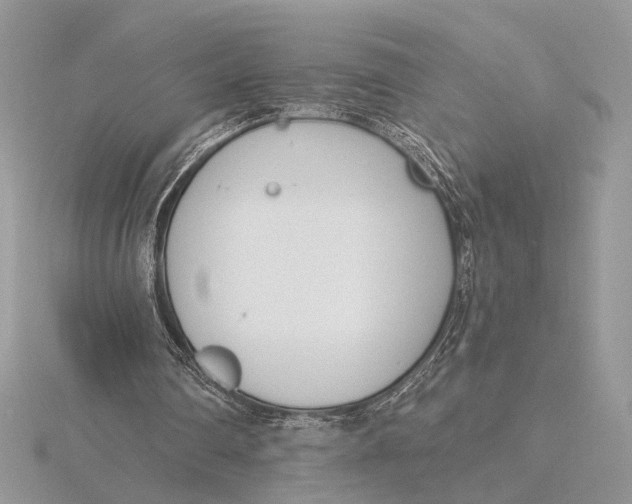 X0000116150290200912071310