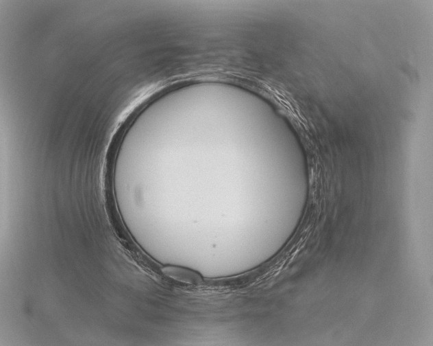 X0000116150292200912071310