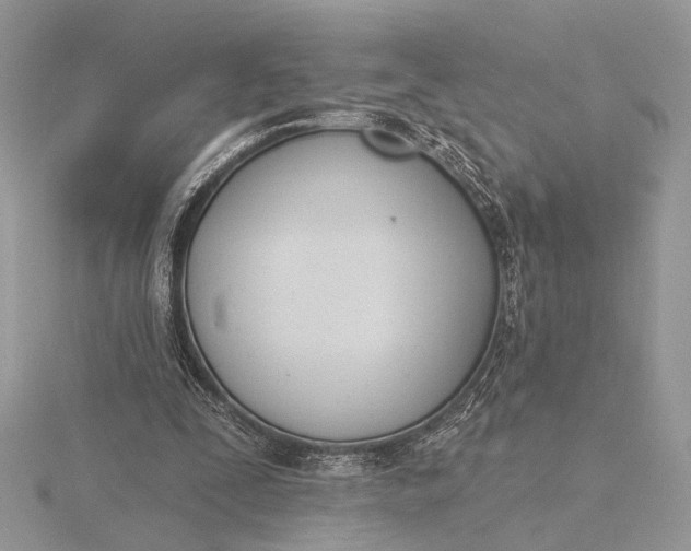 X0000116150295200912071310