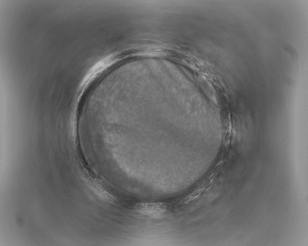 X0000116150296200912071310