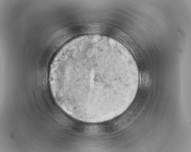 X0000116150301200912071310