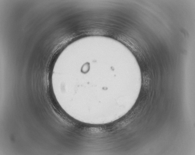 X0000116150302200912071310