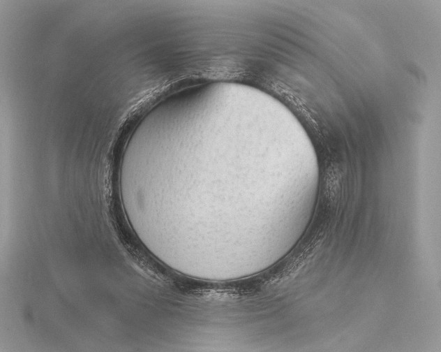 X0000116150303200912071310