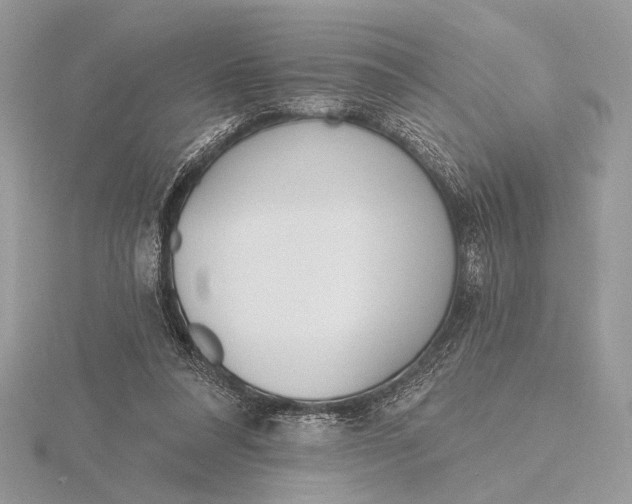 X0000116150304200912071309