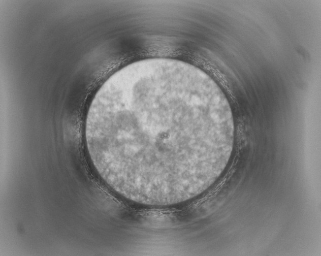 X0000116150305200912071309