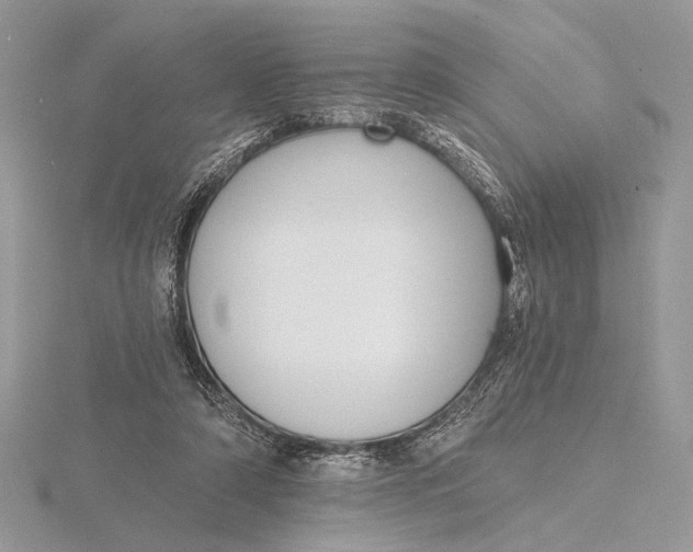 X0000116150306200912071309