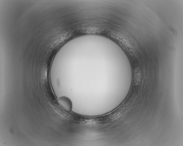 X0000116150310200912071309