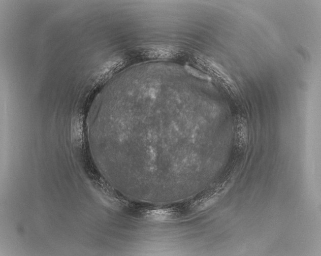 X0000116150312200912071309