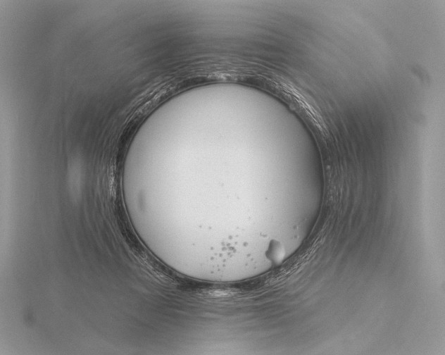 X0000116150313200912071309