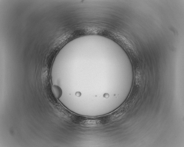 X0000116150314200912071309