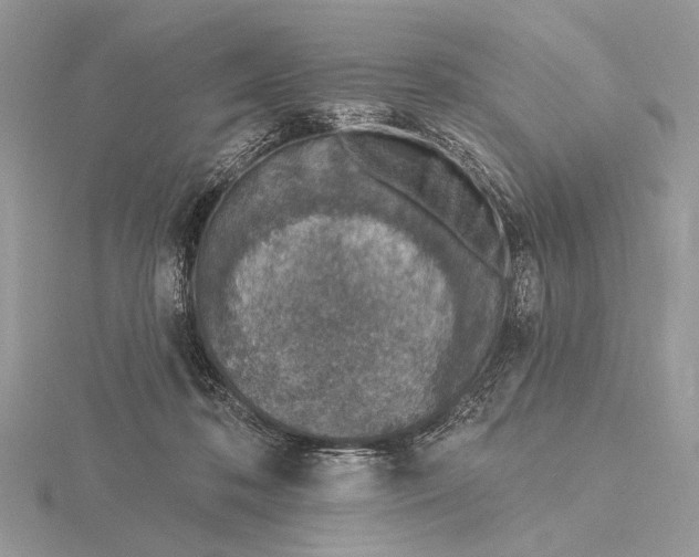 X0000116150316200912071309