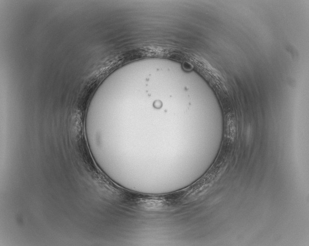 X0000116150318200912071309