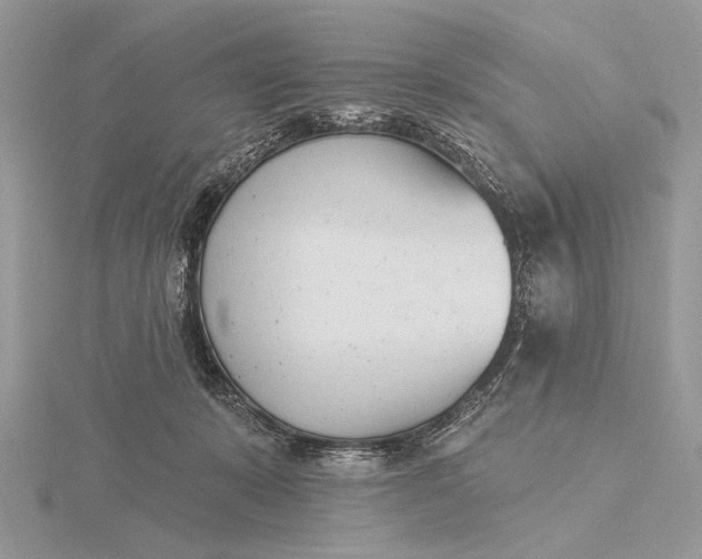 X0000116150319200912071309