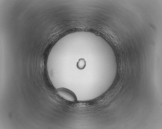 X0000116150320200912071309