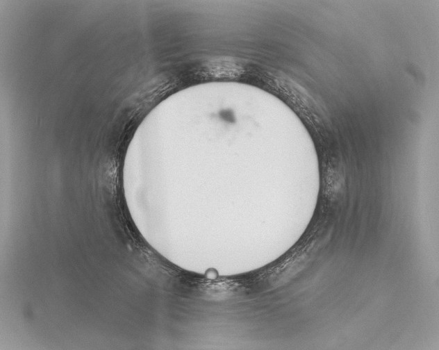 X0000116150321200912071309