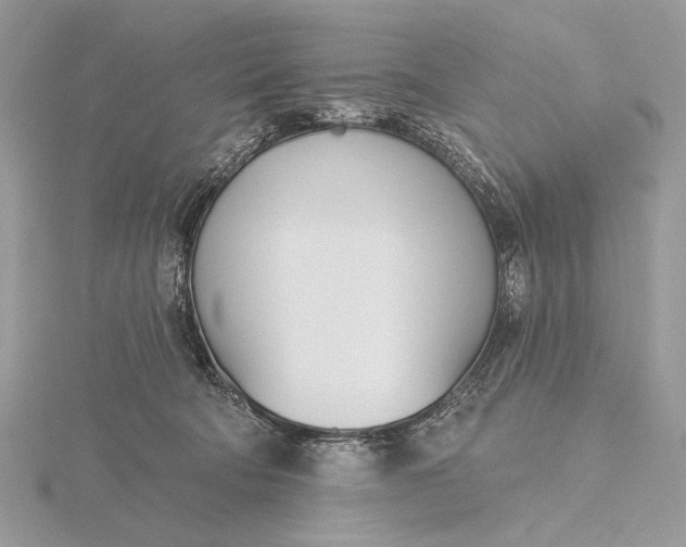 X0000116150322200912071309