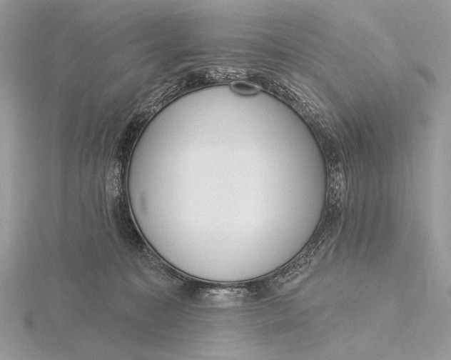 X0000116150323200912071309