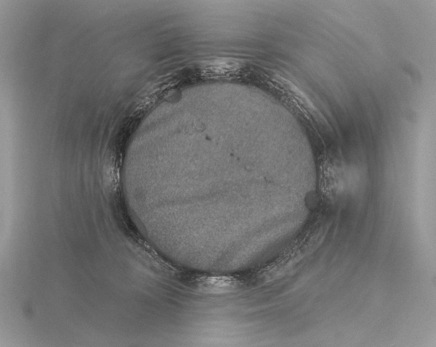 X0000116150324200912071309