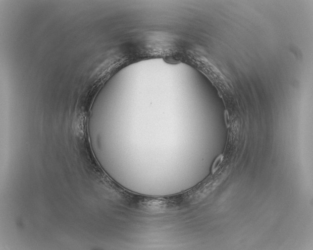 X0000116150325200912071309