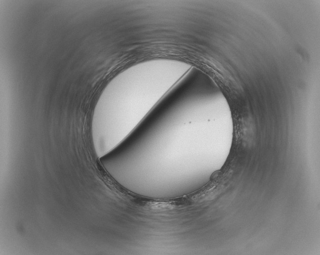 X0000116150327200912071309