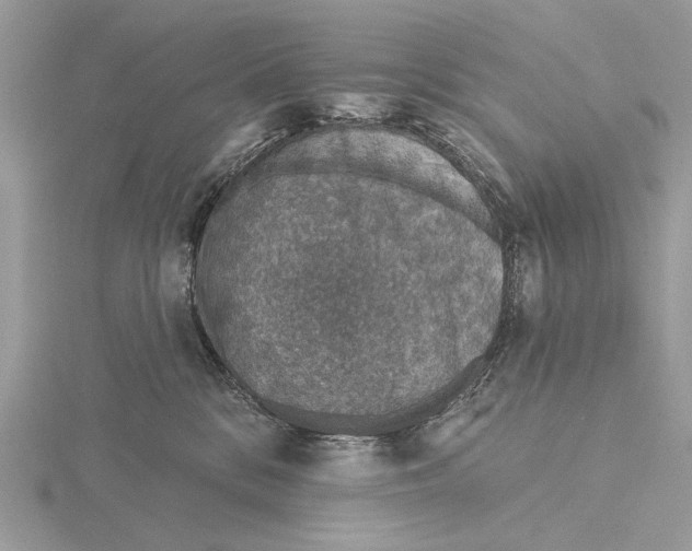 X0000116150328200912071309