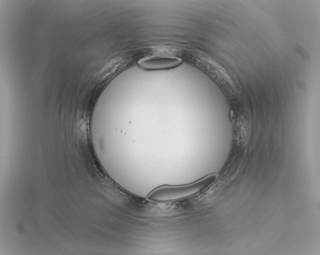 X0000116150329200912071309