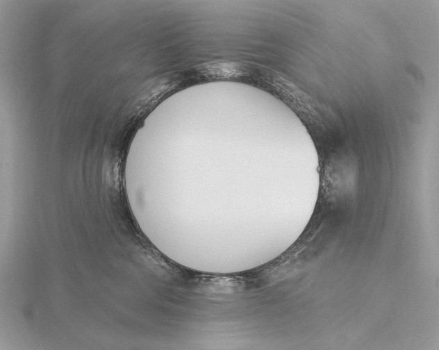 X0000116150330200912071309