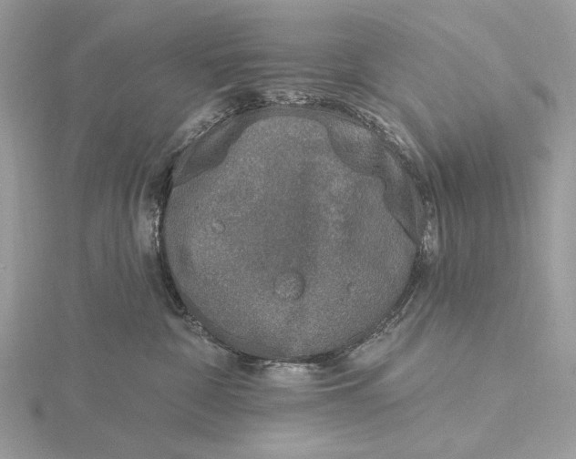 X0000116150332200912071309