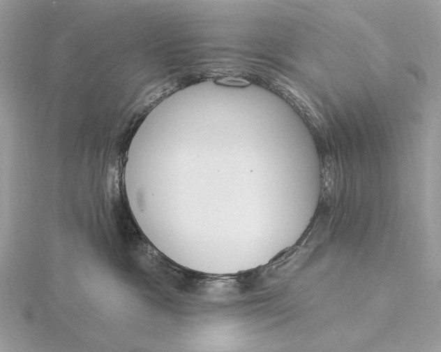 X0000116150333200912071309