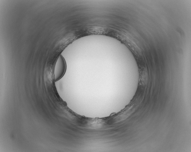 X0000116150334200912071309