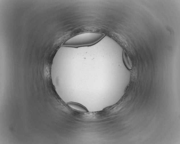 X0000116150335200912071309