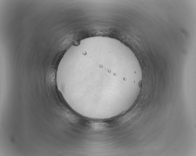 X0000116150336200912071309